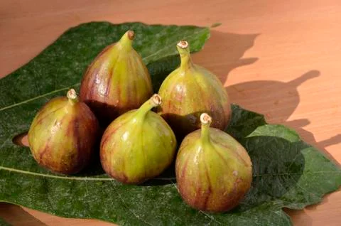 Figs of the sunfruit Foto stock