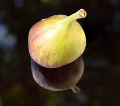 Figs of the sunfruit Stock Photos