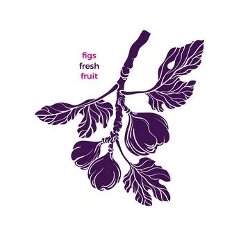 Figs symbol. Vector tree, branch, silhouette fruit, leaf. Botanical texture s Stock Illustration