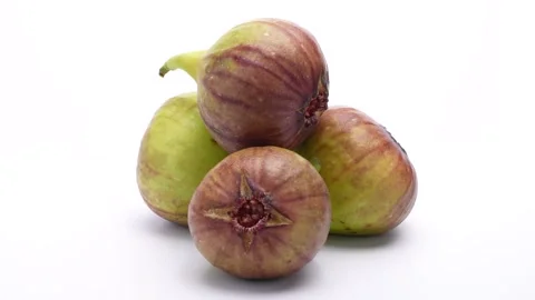 Figs to turn Stock Footage 310532083