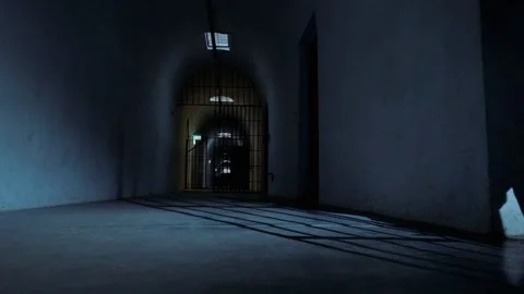 A figure and shadows in a prison's corridor Stock Footage 324911071