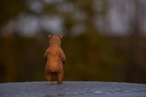 Figure bear Foto stock