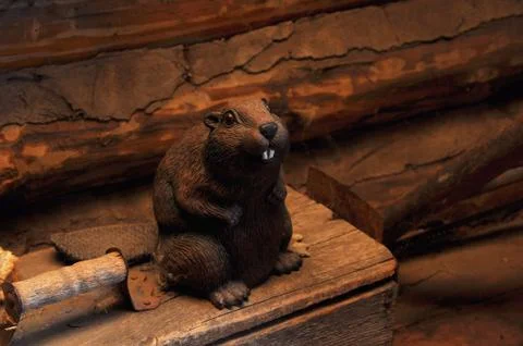 The figure of Beaver with his sharp teeth Stock Photos