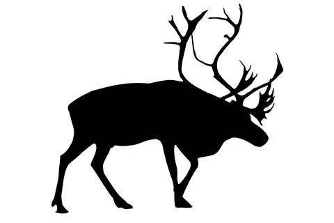 The figure of a deer is black on a white background Stock Illustration