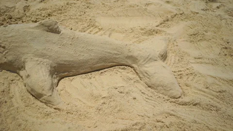 Figure of a dolphin from the sand on the beach. Stock Footage 89042669