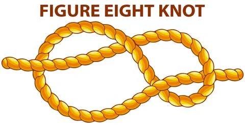 Figure eight knot isolated on white. Household binding and fastening unit for 스톡 일러스트