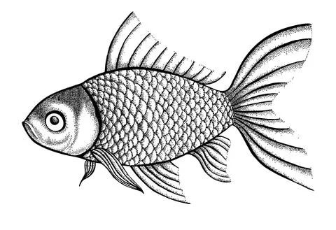 Figure fish painted in a graphic style points and lines. A great figure for a Stock Illustration