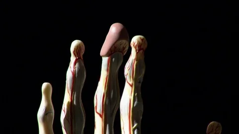 Figure of a hand printed in 3D on black background. The figure is spinning. Stock Footage 81851737