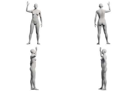 Figure model in confident pose, 4-view collage Stock Illustration