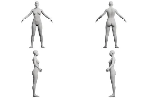 Figure model standing in 4-view collage Stock Illustration