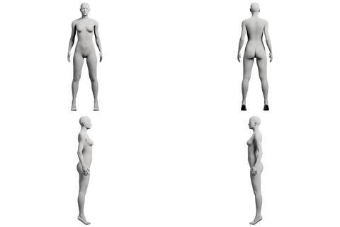 Figure model standing in a 4-view collage Stock Illustration