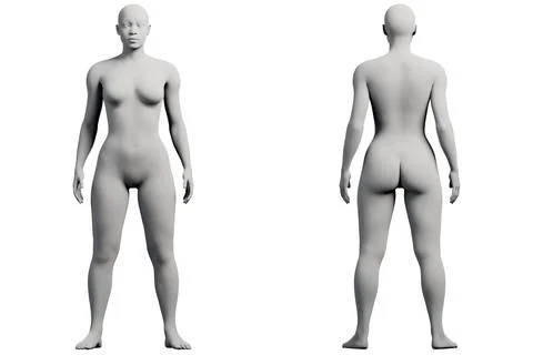 Figure model standing in white studio Stock Illustration