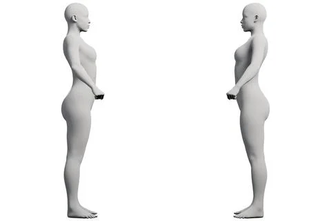 Figure model standing in white studio Stock Illustration