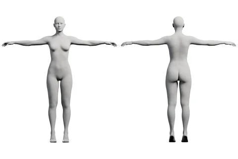 Figure model T-pose front and back studio Stock Illustration