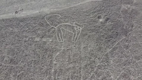 Figure of a monkey camera rising up from low to high of the Nazca Lines geog Video stock 251939619