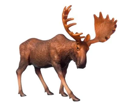 Figure of a moose isolated on white background Stock Photos