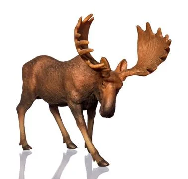 Figure of a moose Stock Photos