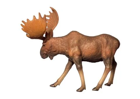 Figure of a moose Stock Photos
