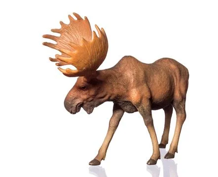 Figure of a moose Stock Photos