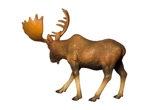 Figure of a moose Stock Photos