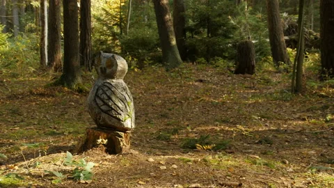 Figure owl is carved from a tree Stock Footage 148081622