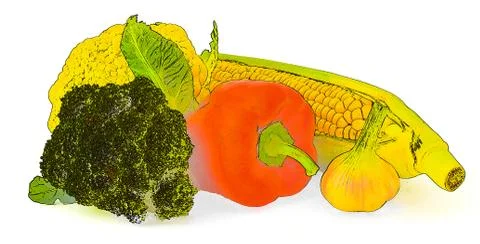 Figure pepper cabbage broccoli corn on the cob, and garlic Stock Illustration