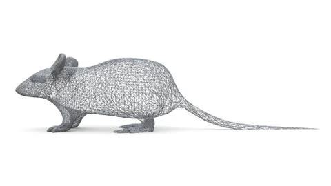 The figure of a rat is made of a spatial polygonal grid. Animal symbol 2020. 3d Stock Illustration