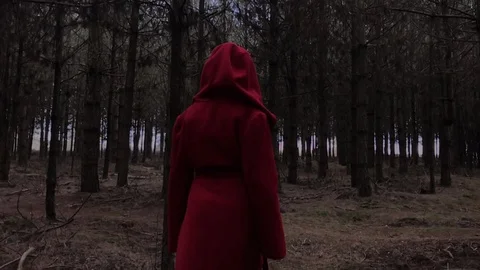 Figure in red coat followed through forest Video stock 106588482