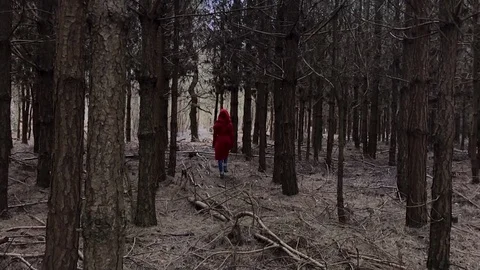 Figure in Red Coat walks away in distance, tall trees, slow motion Video stock 106590489