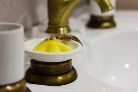 Figure soap in soap dish in elegant bathroom Stock Photos