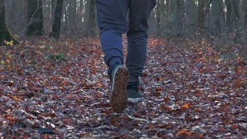 A figure walks through a forest filled with fallen leaves at sunset. Sun ra.. Stock Footage 297908042