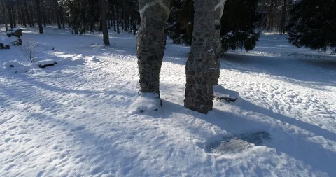 Figure in the winter forest Stock Footage 87875602