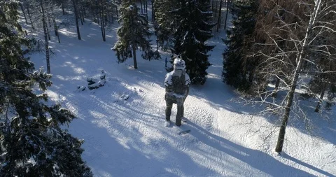Figure in the winter forest Stock Footage 87875781
