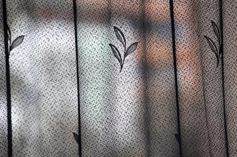 Figured curtain 写真素材