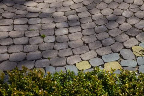 Figured paving slabs 写真素材