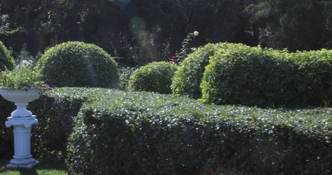 Figures from the bushes 스톡 동영상 96615907