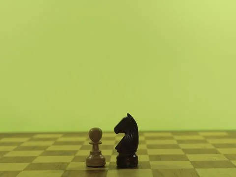Figures chess plays checkmate fun intelligence king horse bishop tower pawn Photos