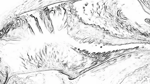 Figures Created by the Scratched Surface Movement Drawing Background 3 Stock Footage 313302007