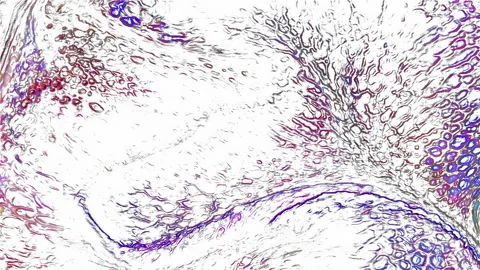 Figures Created by the Scratched Surface Movement Drawing Texture 31 Stock Footage 313967432