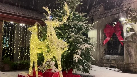 Figures of glowing deer in the form of garlands. Stock Footage 296550028