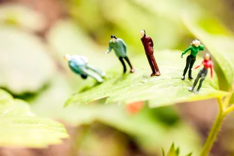 Figures of some people on a leaf Foto stock