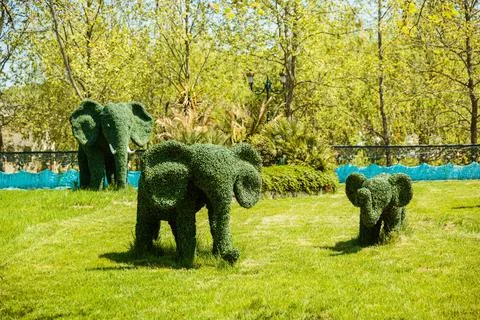 The figures of the topiary in form of elephants Foto stock
