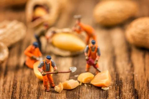 Figures working on peanuts Foto stock