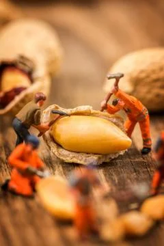 Figures working on peanuts Stock Photos