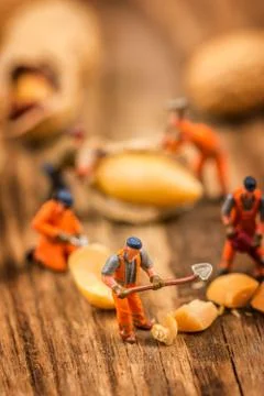 Figures working on peanuts Stock Photos