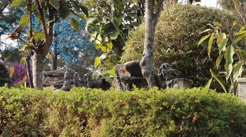 Figurines in the garden Stock Footage 59135736