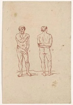Figuurstudie naakte man.Figure studies of a standing naked man. Seen once ... Stock Photos