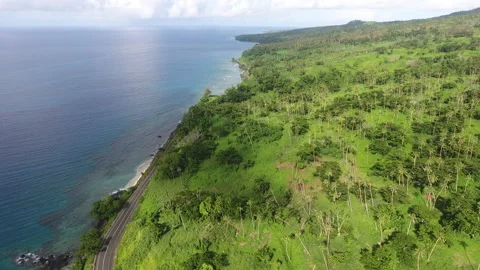Fiji 09 - Drone 4K 스톡 동영상 219384531