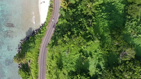 Fiji 10 - Drone 4K Stock Footage 219383898