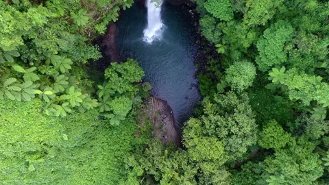 Fiji 12 - Drone 4K Stock Footage 219378994
